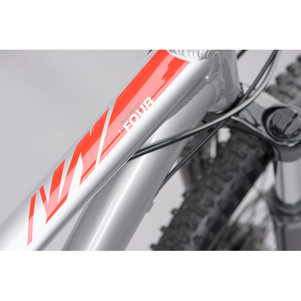Terrain 4 Large Ridgeback Mountain Bike - 24-Speed Hardtail with Hydraulic Disc Brakes and Suspension Fork 9 Terrain 4 Large Ridgeback Mountain Bike - 24-Speed Hardtail with Hydraulic Disc Brakes and Suspension Fork - Image 7