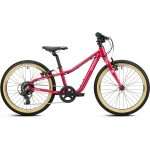 Dimension 20 Perfectly Plum 1 BIKE RB Dimension 20 Perfectly Plum
