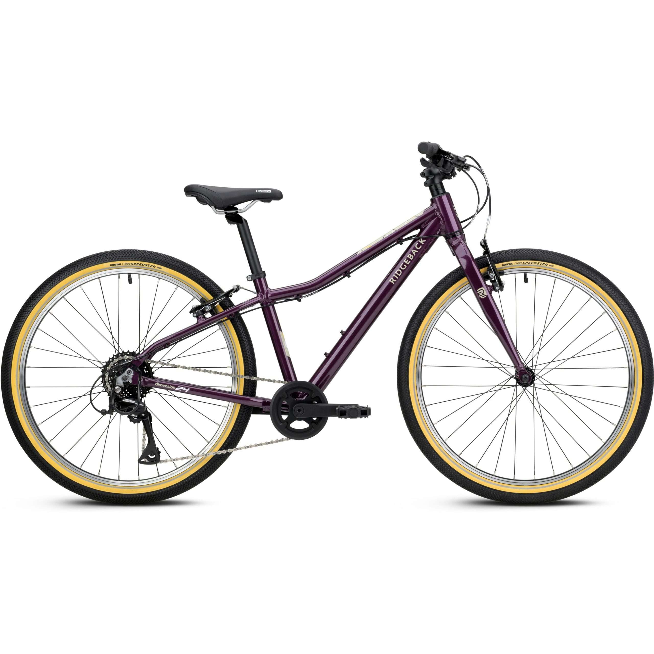 Dimension 24 Vanquish Violet